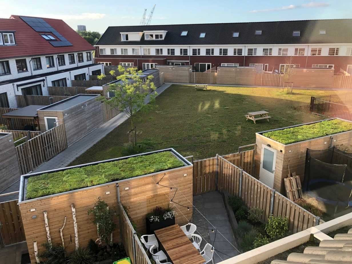 Sedum Click 'n Go Lichtgewicht 37.3 x 57.3 cm - Afbeelding 3